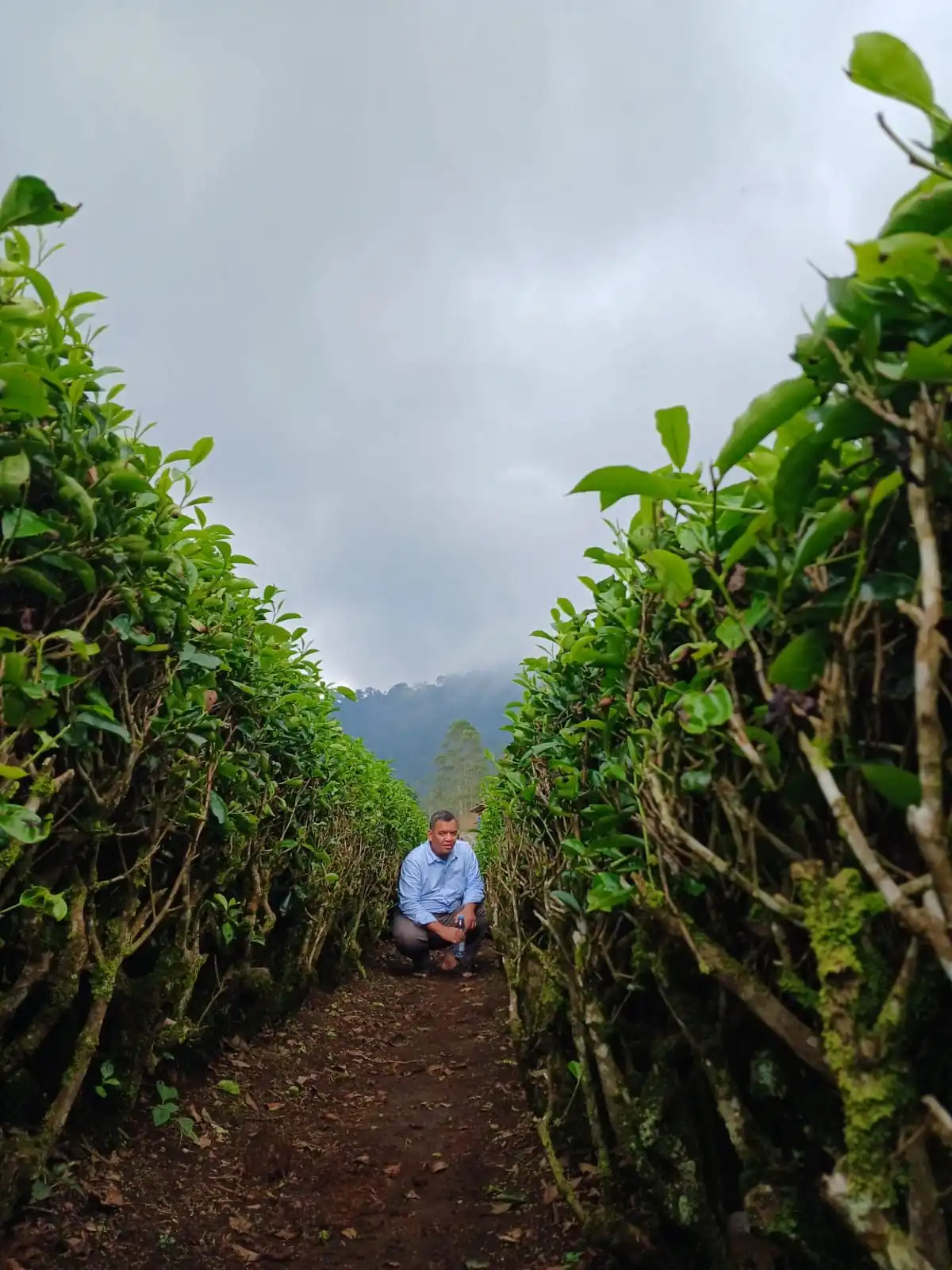 Suasana Homestay Bumina EENK